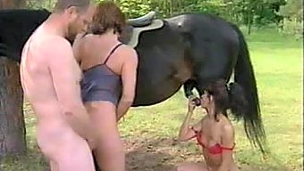 Group bestiality sex. Two women, man and horse do it